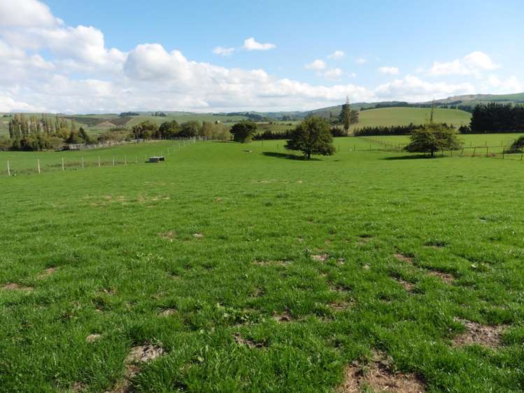 399 Gualter Road Geraldine_5