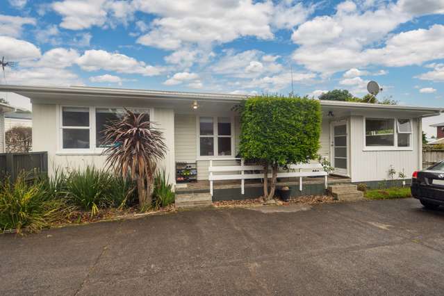 25 Fairleigh Avenue Mount Albert_1