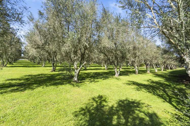 2059a Te Pahu Road Whatawhata_26