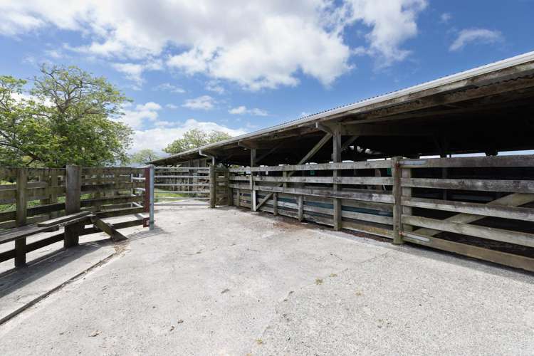 282 Girls High School Road Pukehuia_16