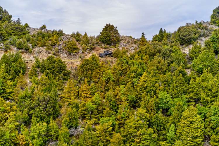 20 Moana Road Kaikoura_18