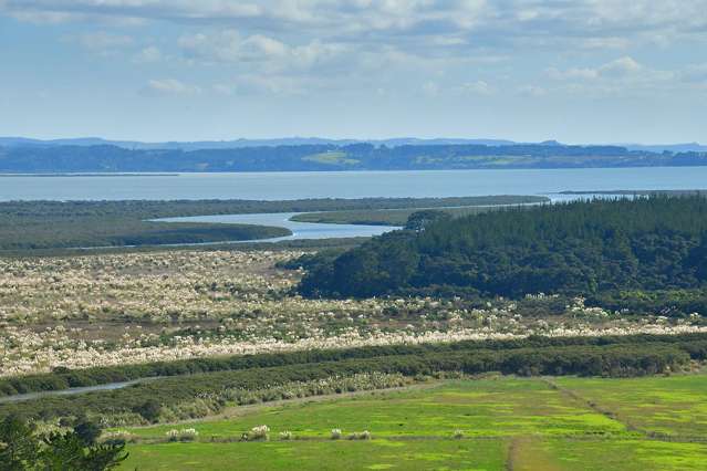 318 Kaipara Coast Highway Helensville_2