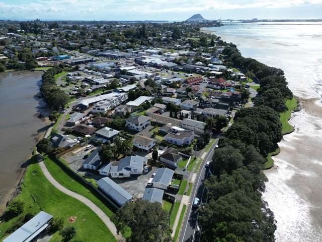 59 Turret Road Tauranga South_3