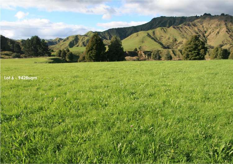 632 Mangaotuku Road Tututawa_10