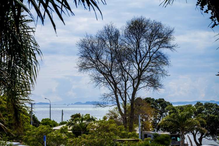 2 Alison Avenue Takapuna_20