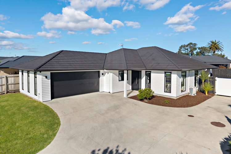 8 Opouatu Avenue_0