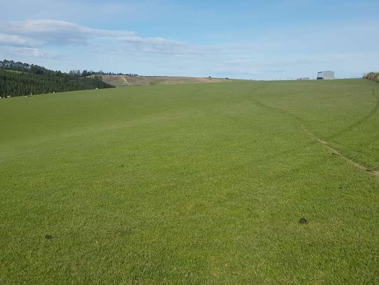 Hillend Road Balclutha_7