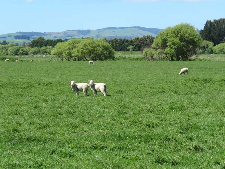 224 Winter Road Wyndham Surrounds_9