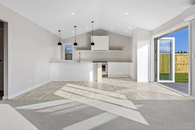 8 Neinei Place Wharewaka_1