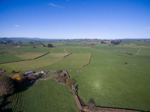 659 Kakepuku Road Te Awamutu_3