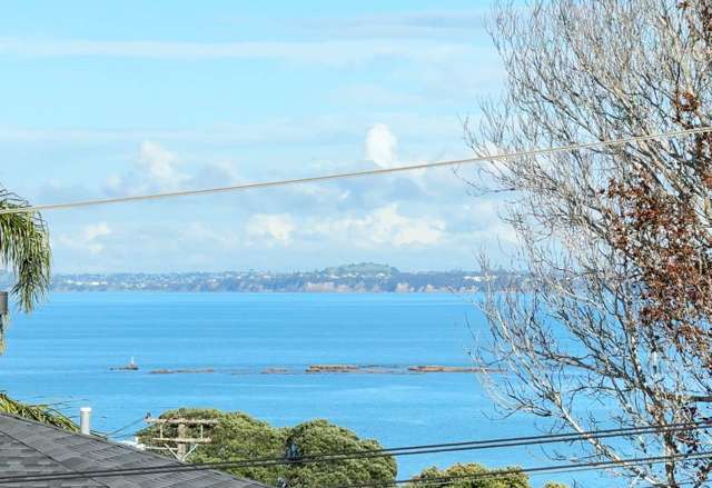 6a Ringwood Street Torbay_1
