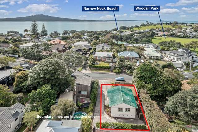 12a Handley Avenue Narrow Neck_1