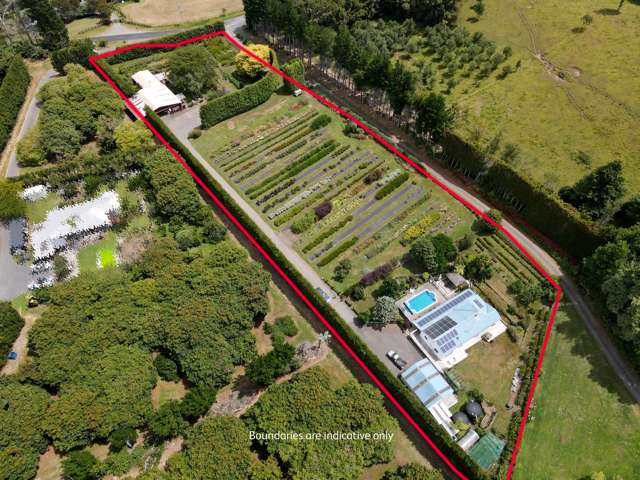 259 Wainui South Road Whakamarama_1