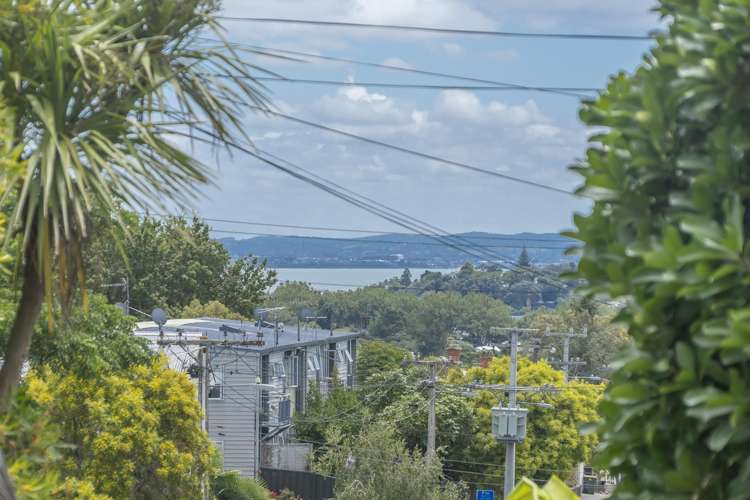 5 Grosvenor Street Grey Lynn_8
