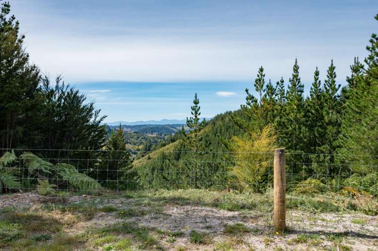 297 Graham Valley Road Motueka Valley_6