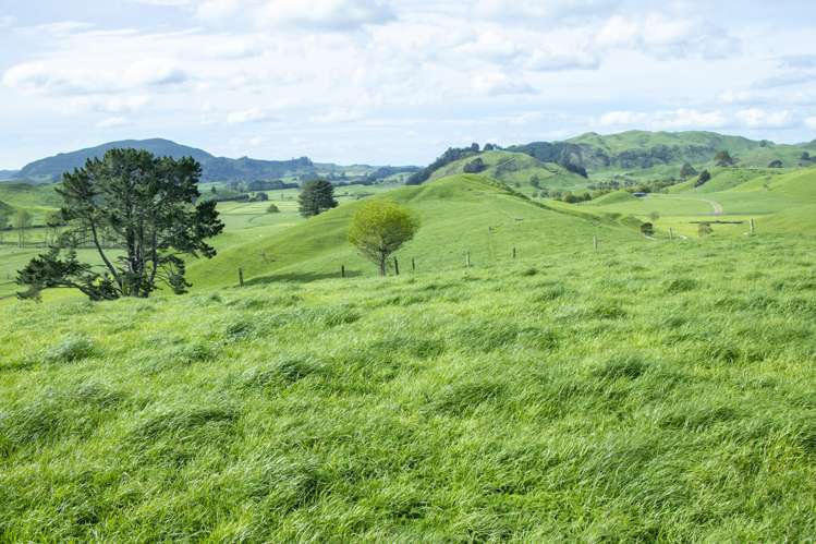 62 Rehi Road Ngakuru_15