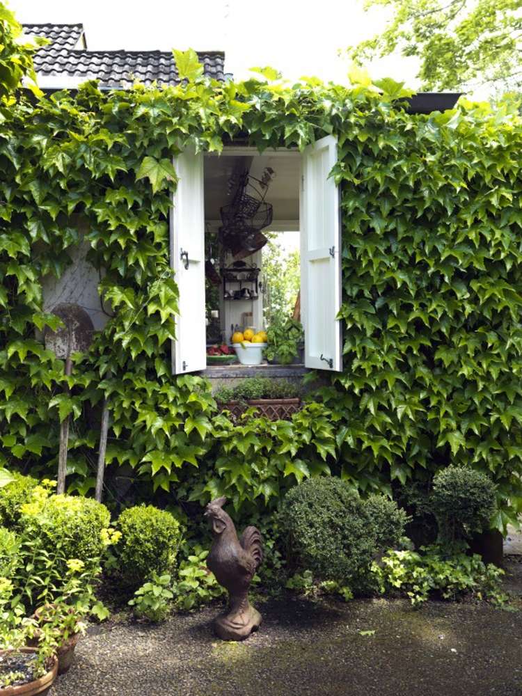 772 River Road Chartwell_7