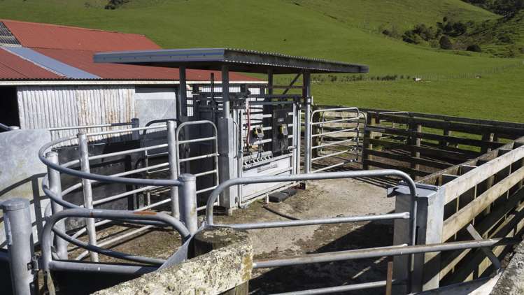 73 Hall Road Eketahuna_15