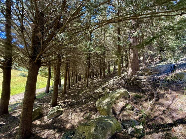 Lot 3 Fortification Road Weston_18