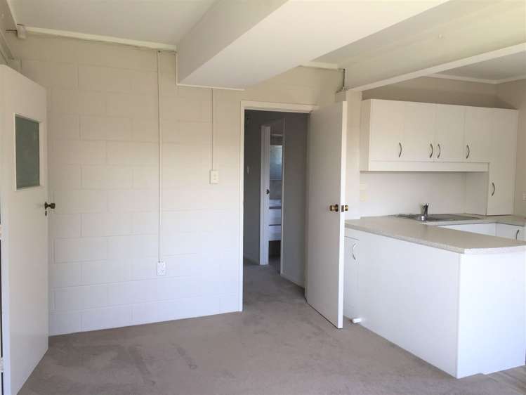 74 Carlton Street Hillsborough_24