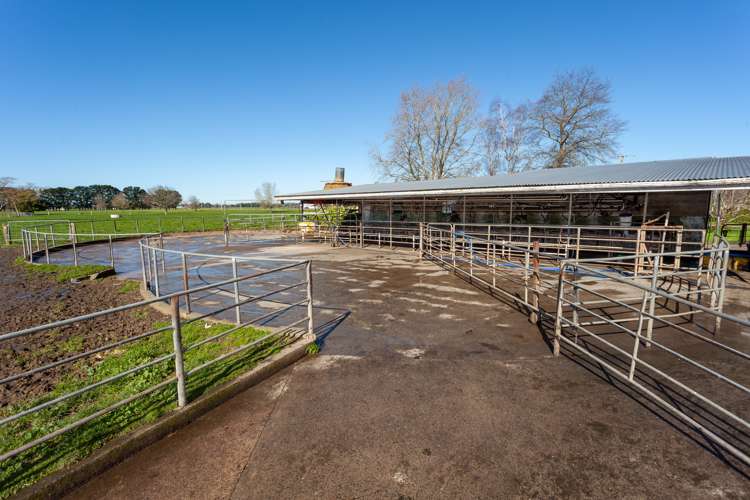 382 Tautiti Road Te Aroha_5