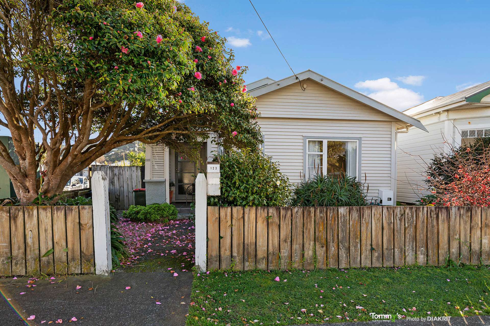 123 Richmond Street Petone_0