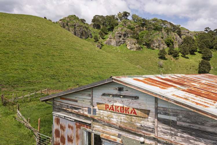 Te Papatapu Road Raglan_10