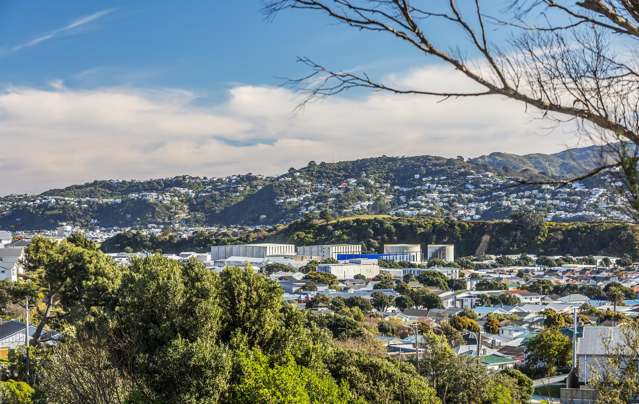 11 Nevay Road Miramar_2