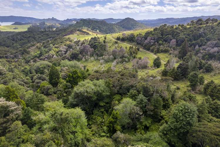 48 Rataroa Road Kaeo_6