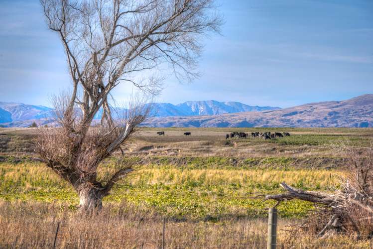 45 Mawhinney Road Omakau_9