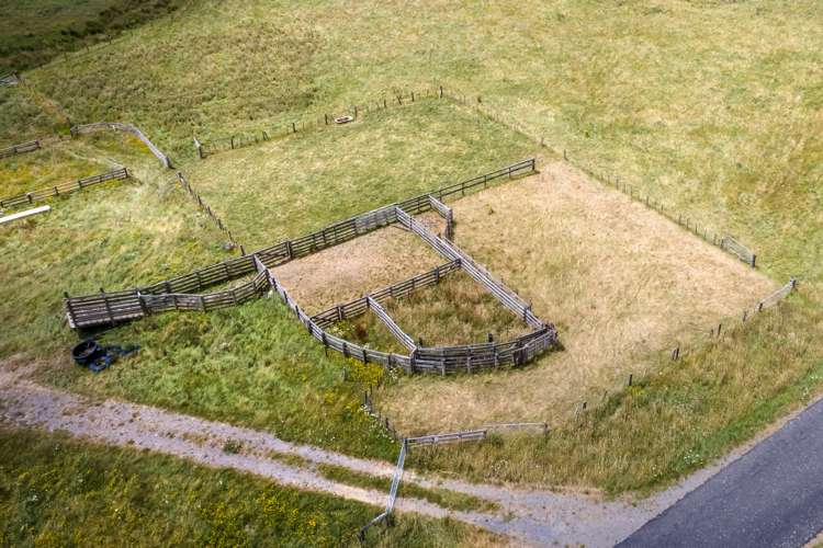 812 Laws Road Dannevirke_5