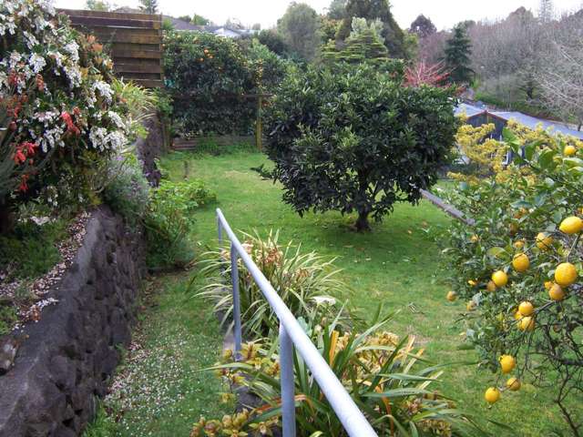 4 Norrie Street Te Puke_2