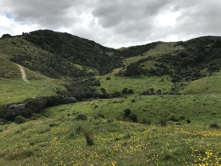 Bowen Road Eketahuna_13