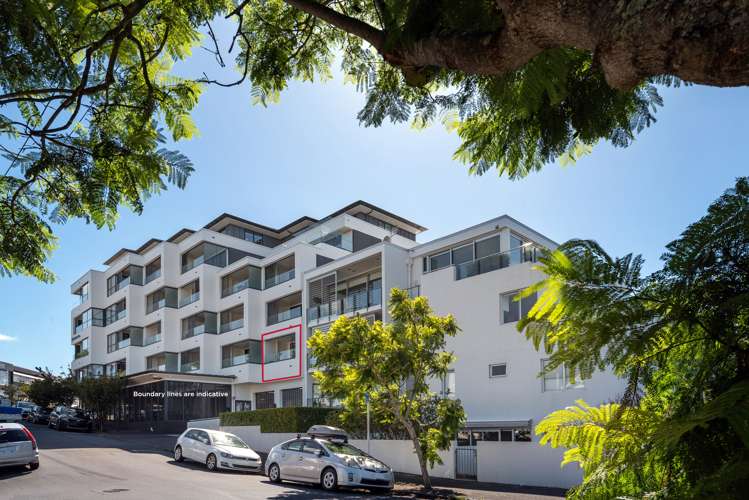 Apt 1H, 36 College Hill Freemans Bay_17