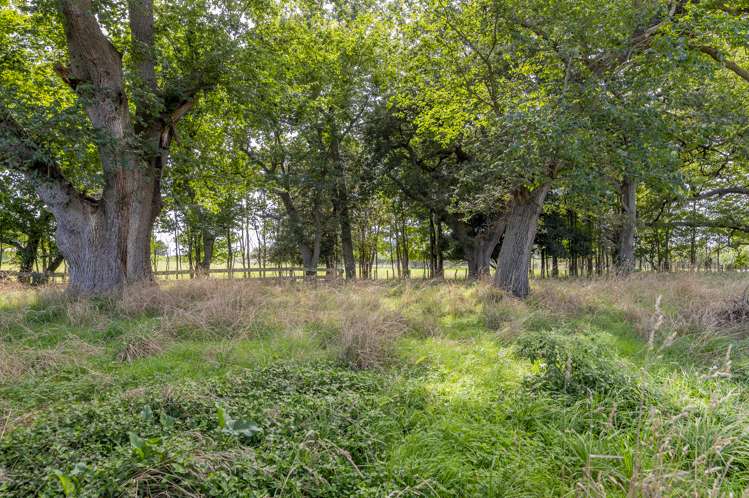 14 Howan Street Foxton_29