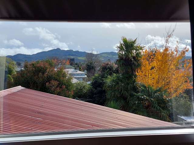 23 Wilson Street Waihi_4