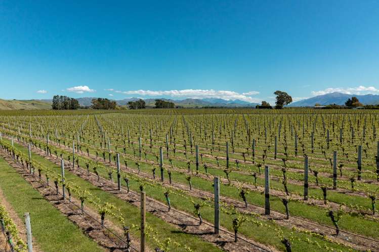 1803 Redwood Pass Road Seddon_5