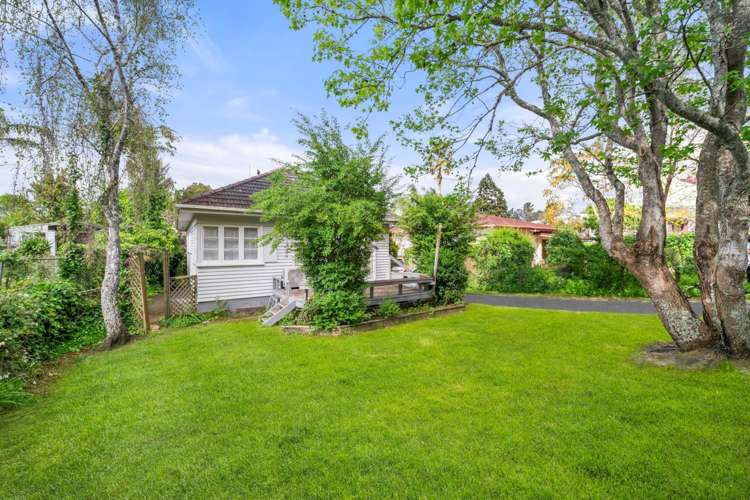 67 Tiverton Road Avondale_1