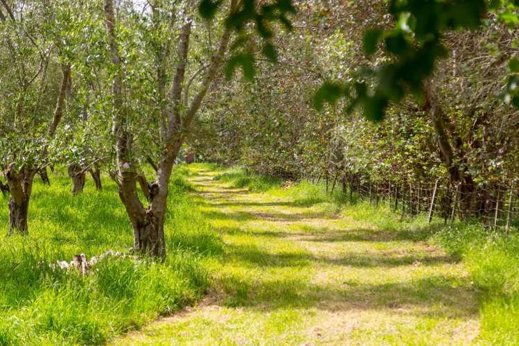 179 Bidwills Cutting Road Greytown_11