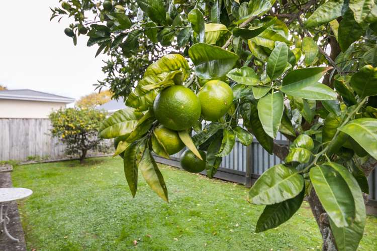 2a Hendon Place West End_17