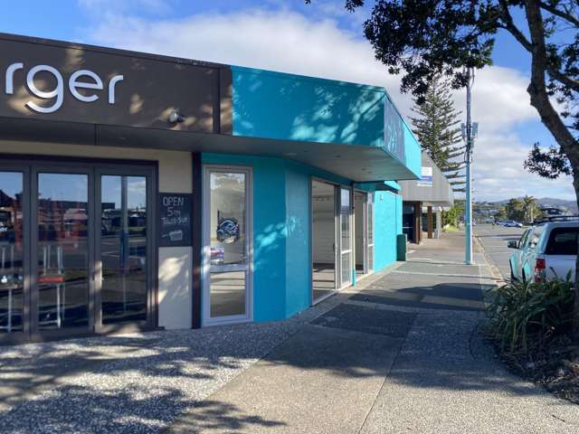 441 Port Road Whangamata_2