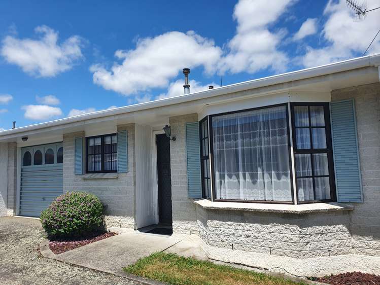 102 Winchester Street Levin_9