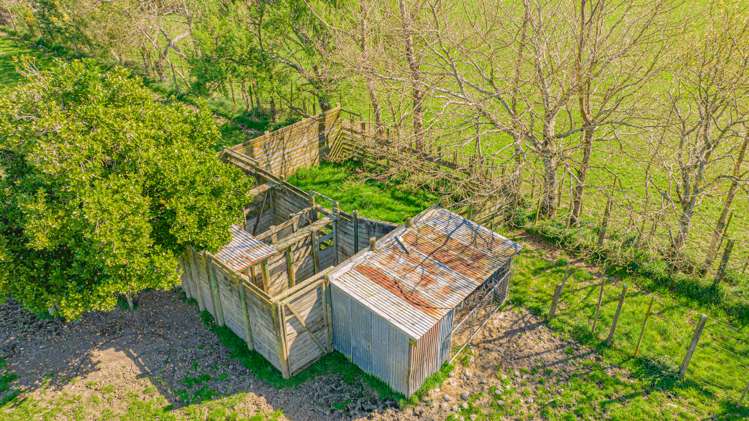 155 Willow Park Drive Opaki_17