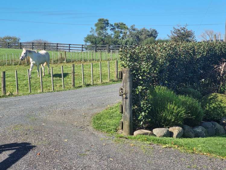 1716 Miranda Road Mangatangi_13