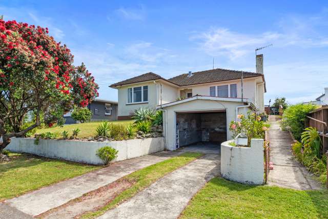 491 Maunganui Road Mount Maunganui_2