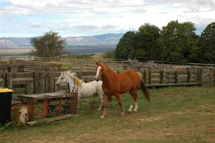 Waiti Road Tahuna_44