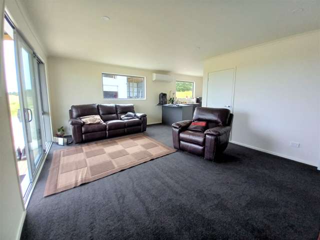 169 Alma Road Westport_1