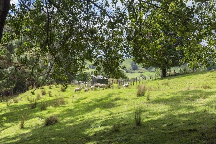 584 Matakana Valley Road Matakana_18