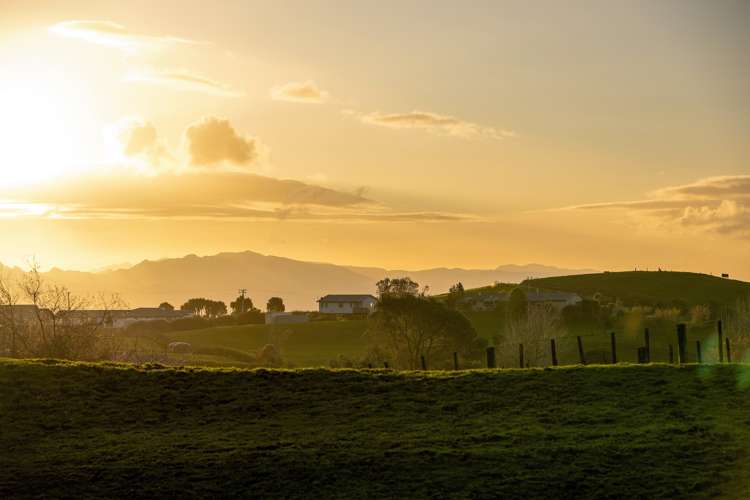 469a Minden Road Wairoa_21