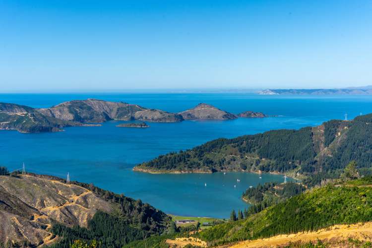 23 Te Tio Terrace Port Underwood_7